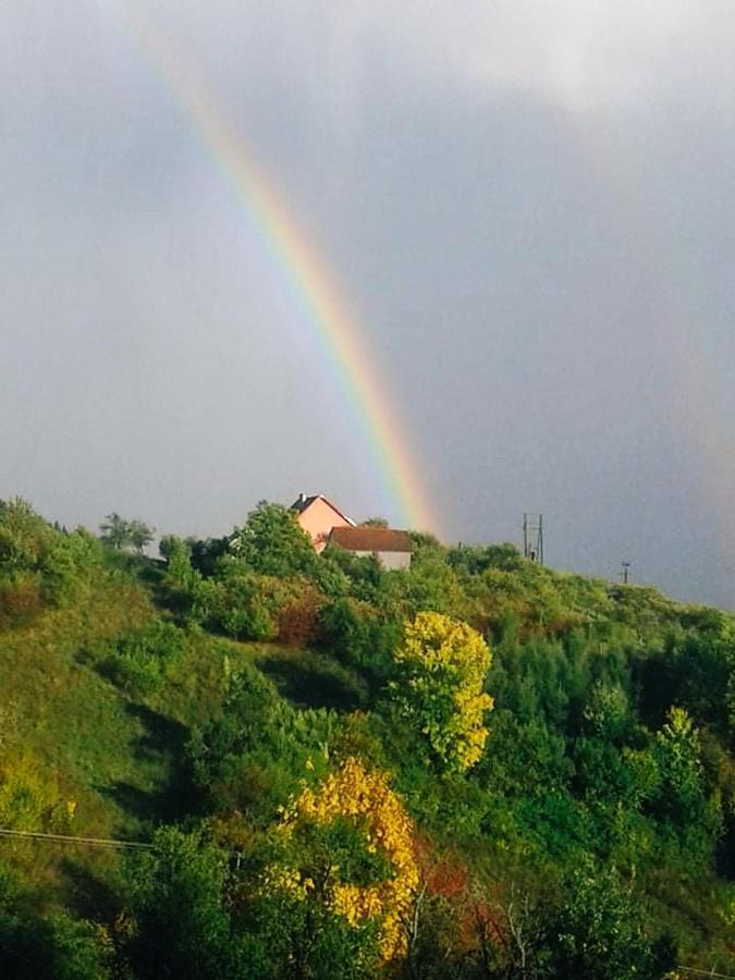 Dom Pod Jabloniami Villa Lukowica Kültér fotó