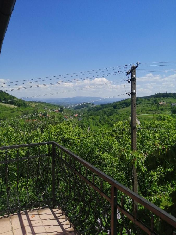 Dom Pod Jabloniami Villa Lukowica Kültér fotó