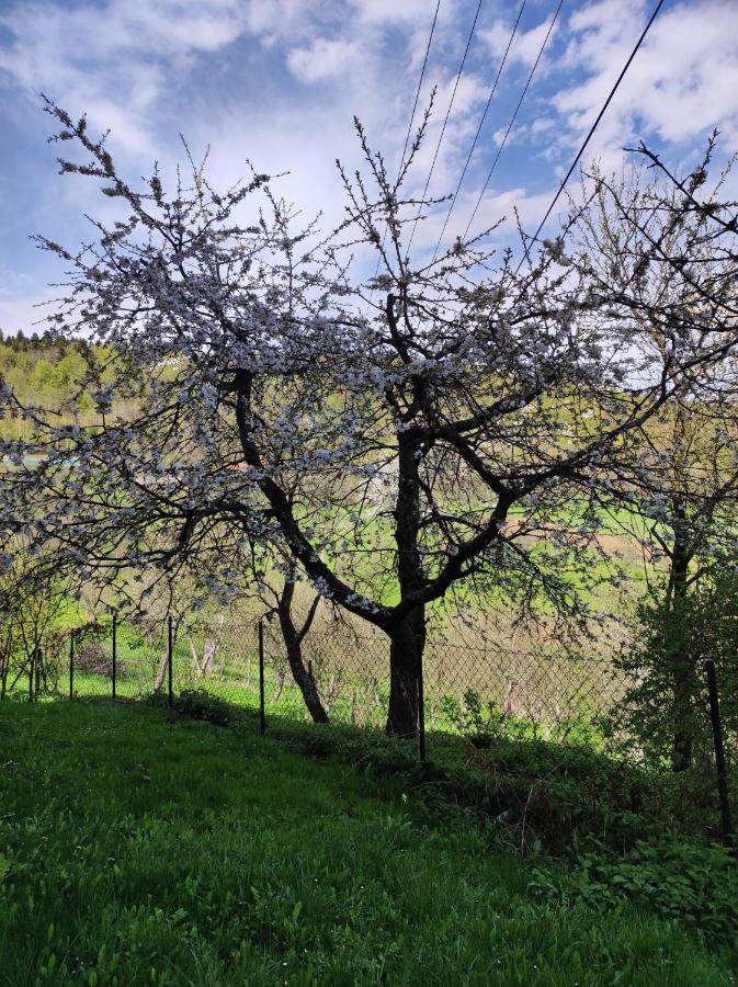 Dom Pod Jabloniami Villa Lukowica Kültér fotó