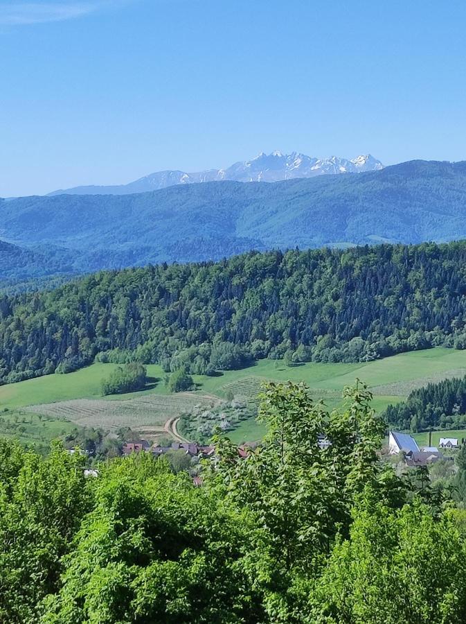 Dom Pod Jabloniami Villa Lukowica Kültér fotó