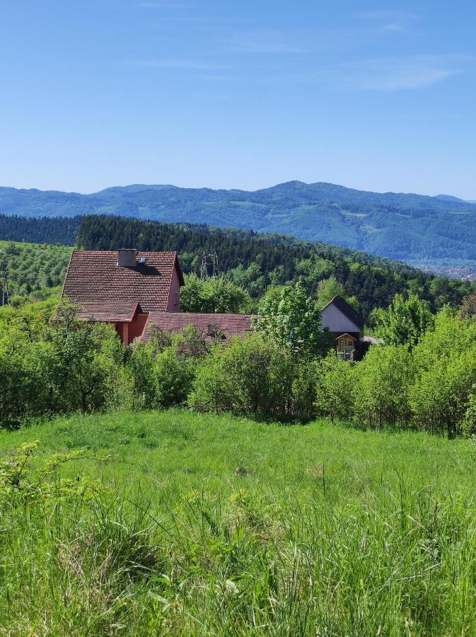 Dom Pod Jabloniami Villa Lukowica Kültér fotó