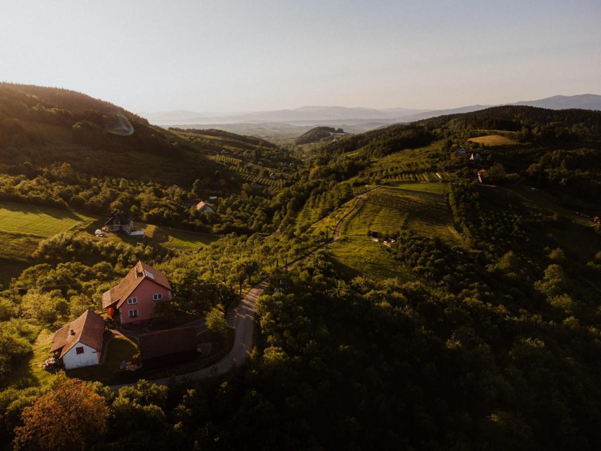 Dom Pod Jabloniami Villa Lukowica Kültér fotó
